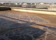 XỬ LÝ NƯỚC THẢI THỦY SẢN BẰNG CÔNG NGHỆ MỚI AAO-MBBR